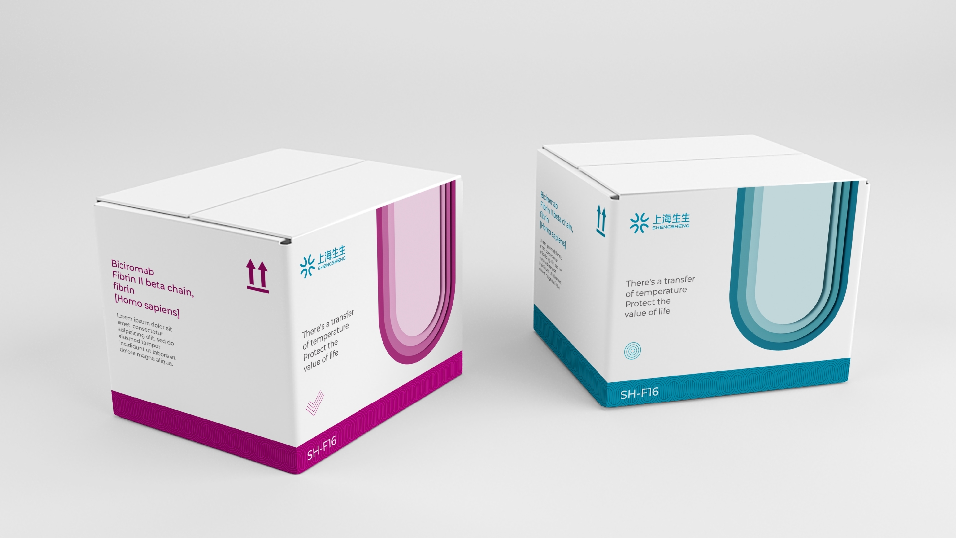 SS LOGISTICS_生生物(wù)流v4_畫闆9.jpg